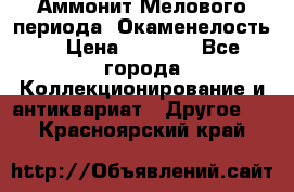 Аммонит Мелового периода. Окаменелость. › Цена ­ 2 800 - Все города Коллекционирование и антиквариат » Другое   . Красноярский край